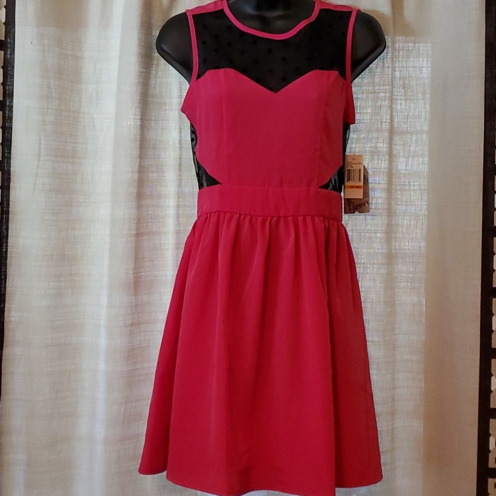 Wallflower Sleeveless Mini Dress